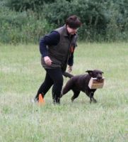 Nana på træningsbanen Vores hunde - Labrador Retriever