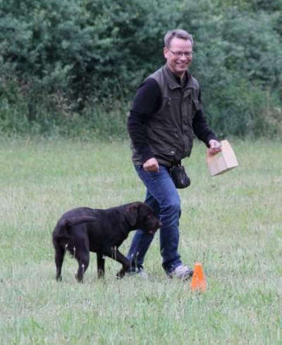 Til 1. hvalpetræf - hvalpene er nu 1 år Brune Labrador Retriever hvalpe på 1 år